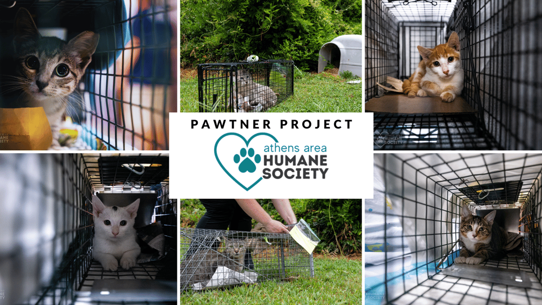 Athens Area Humane Society